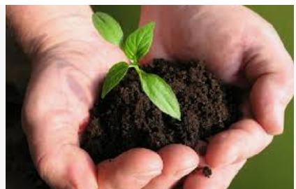 BIO FERTILZERS