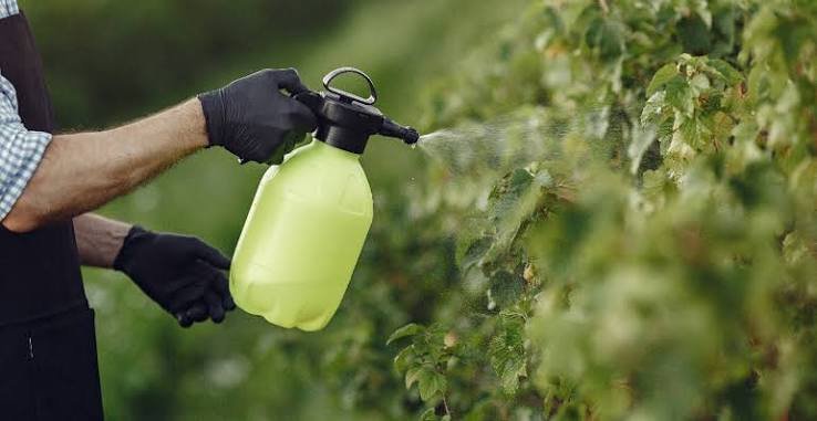 bio insecticides